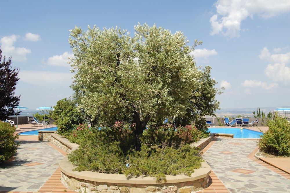 Apartment Il Casino Numero 5 Лаятіко Екстер'єр фото